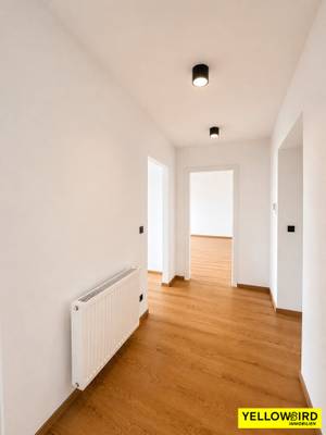 Erstbezug nach Sanierung! Helle 2-Zimmer-Wohnung mit Lift und Cobenzl-Blick (WG-geeignet) – Bild 3