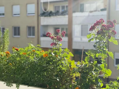 3-Zimmer-Wohnung mieten in Sankt Pölten Land – 79,8 m², € 838 – Bild 20 von 26