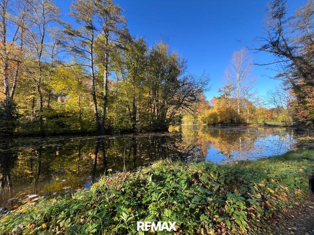 Wohnen in idyllischer Lage - gepflegter Bungalow im Schlosspark von Seebenstein! - Ansicht 2