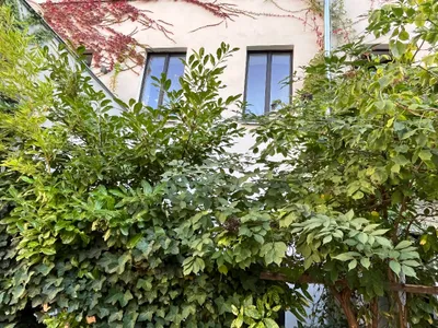 2-Zimmer-Wohnung mieten in Wien – 66 m², € 1.498 – Bild 49 von 49