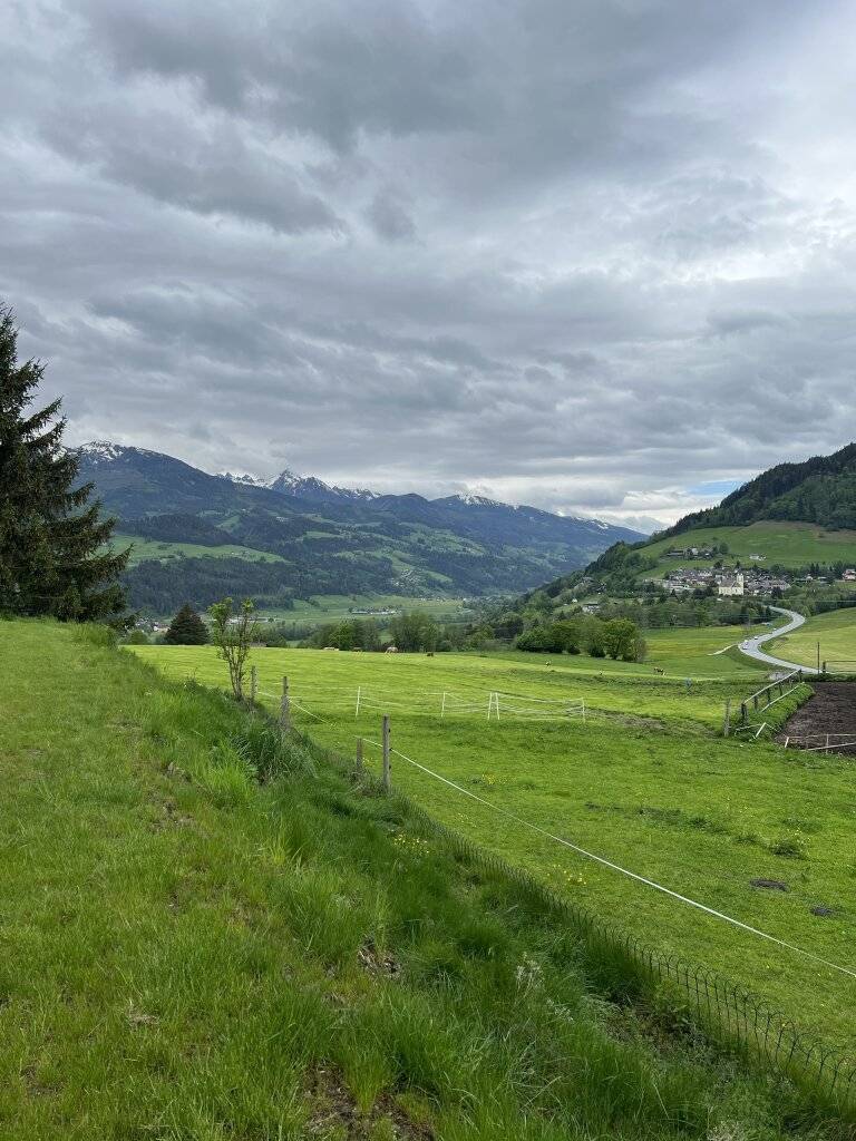 Wiesenflächen ca. 7 ha I intensiv nutzbar – pohled 2