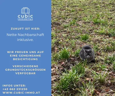 Grundstück kaufen in Salzburg-Umgebung – 683 m², € 159.000 – Bild 8 von 8