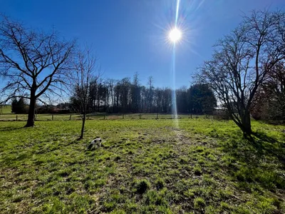 Grundstück kaufen in Salzburg-Umgebung – 683 m², € 159.000