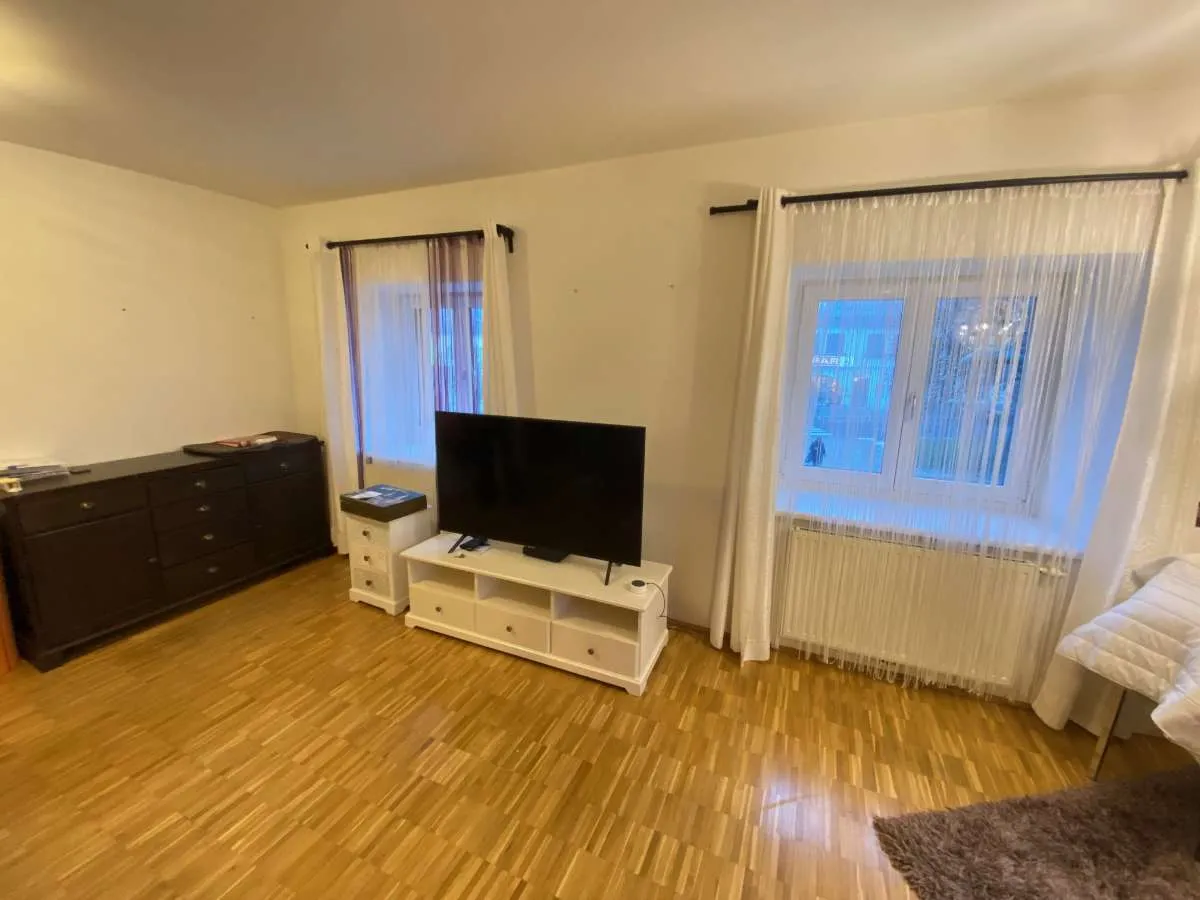 GEPFLEGTE SINGLEWOHNUNG AM MARKTPLATZ IN HELLMONSÖDT - Ansicht 3