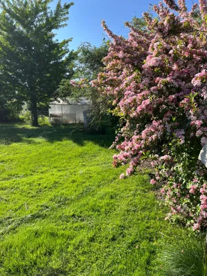 Grundstück kaufen in Linz – 827 m², € 398.000 – Bild 7 von 14