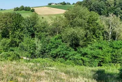 Grundstück kaufen in Sankt Pölten Land – 800 m², € 98.000 – Bild 5 von 7
