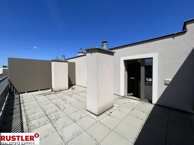 Loftartige 1- Zimmerwohnung mit Dachterrasse – Bild 3