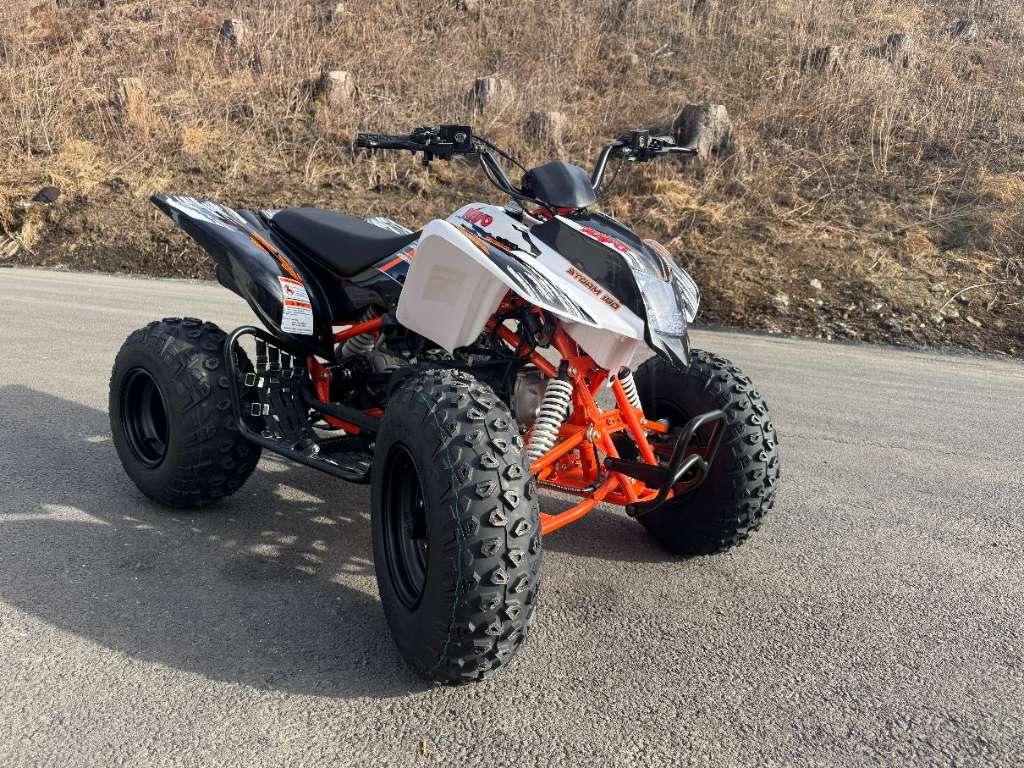 Kayo Jugendquad A180 Sport CVT Automatik Quad