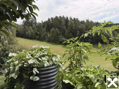 Haus kaufen in Rohrbach – 65 m², € 145.000 – Bild 23 von 25