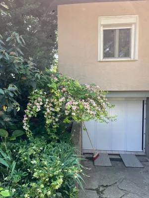 4-Zimmer-Haus kaufen in Gänserndorf – 80 m², € 294.000 – Bild 4 von 17