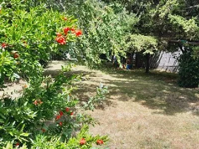 3-Zimmer-Haus kaufen in Bruck an der Leitha – 138 m², € 232.000 – Bild 8 von 42