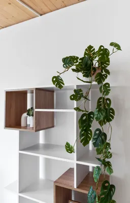 2-Zimmer-Wohnung kaufen in Wien – 59 m², € 309.000 – Bild 31 von 54