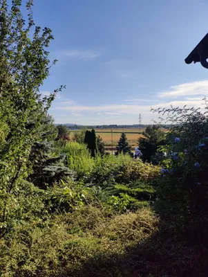 5-Zimmer-Haus kaufen in Korneuburg – 228 m², € 899.000 – Bild 5 von 17