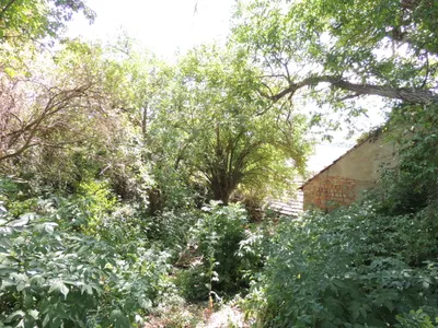 Immobilie kaufen in Hollabrunn – 200 m², € 85.000 – Bild 21 von 37