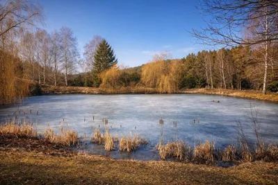 Immobilie kaufen in Zwettl – 400 m², € 990.000 – Bild 29 von 33