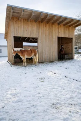 Immobilie kaufen in Zwettl – 400 m², € 990.000 – Bild 26 von 33