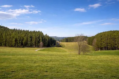 Immobilie kaufen in Zwettl – 400 m², € 990.000 – Bild 32 von 33
