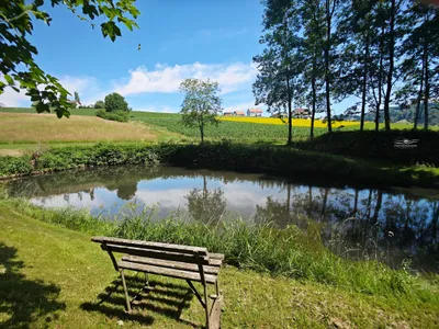 Grundstück kaufen in Südoststeiermark – 801 m², € 65.600 – Bild 6 von 8