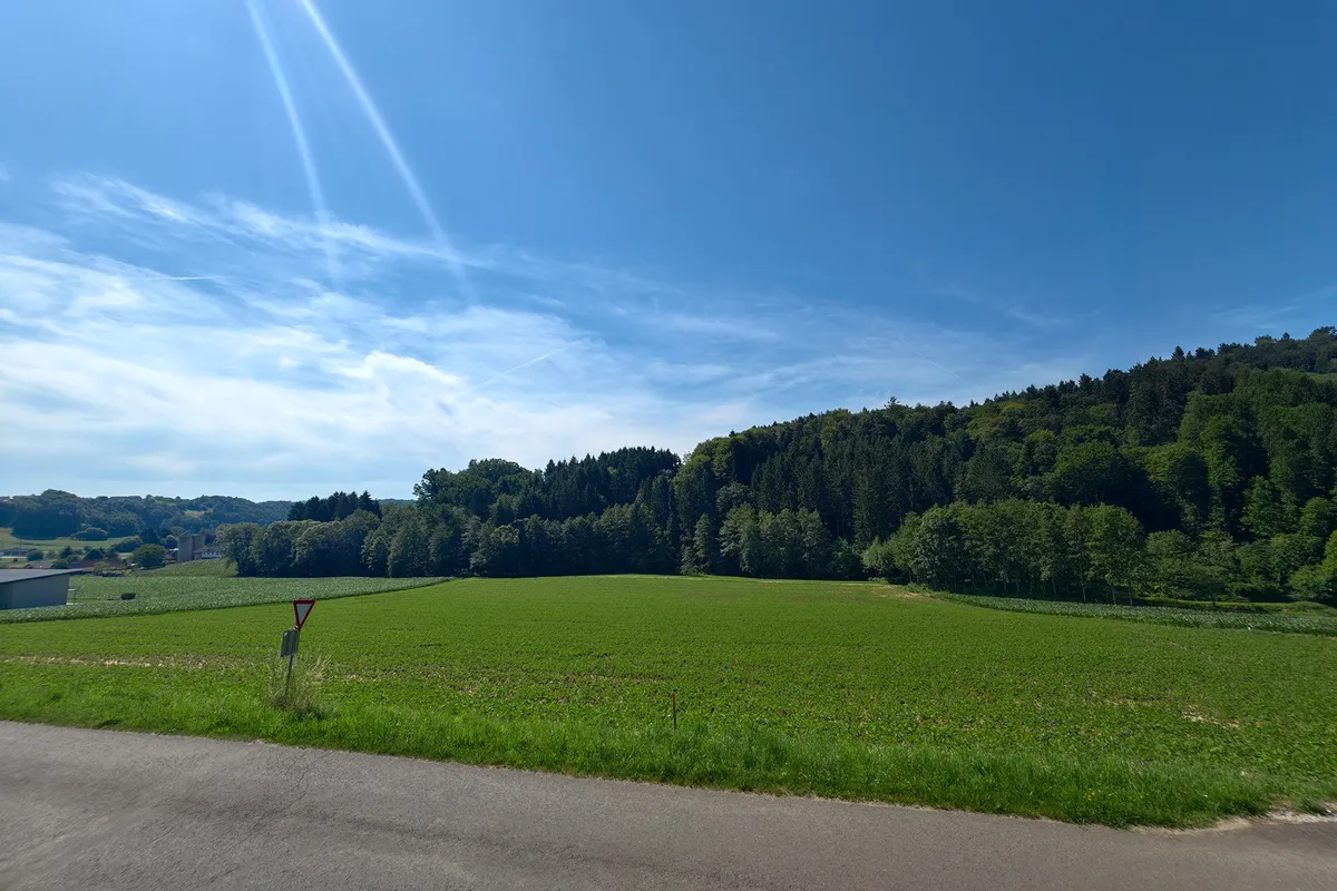 Panoramahang Frannach - Ansicht 3