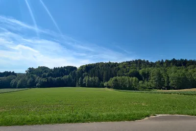 Grundstück kaufen in Südoststeiermark – 801 m², € 65.600 – Bild 1 von 8