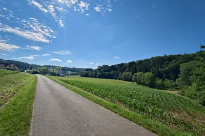 Grundstück kaufen in Südoststeiermark – 801 m², € 65.600 – Bild 4 von 8