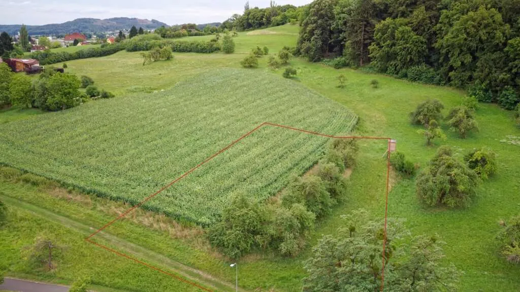 Großzügiges Baugrundstück Nähe Stadtzentrum Feldbach - Grundstücksteilung möglich - Ansicht 2