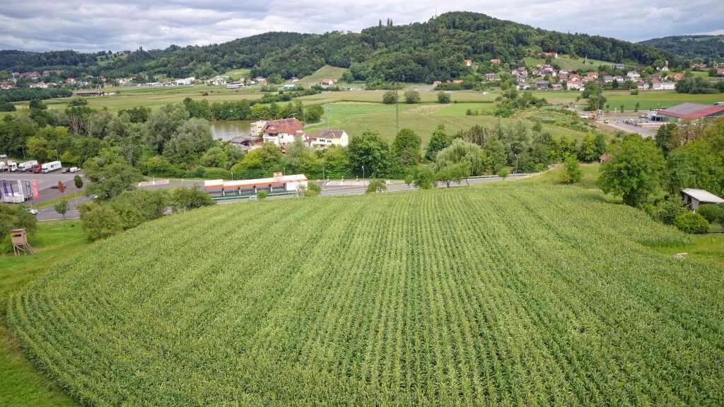 Großzügiges Baugrundstück Nähe Stadtzentrum Feldbach - Grundstücksteilung möglich - Ansicht 3