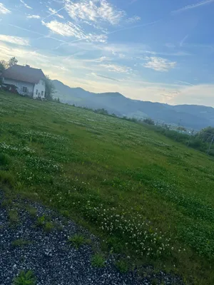 Grundstück kaufen in Bruck-Mürzzuschlag – 6 600 m², € 420.000 – Bild 6 von 7