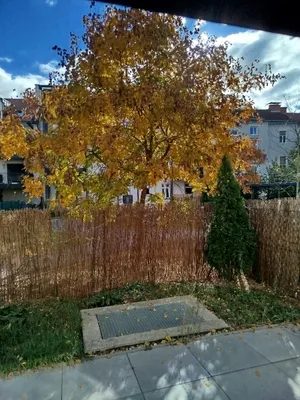 2-Zimmer-Wohnung mieten in Graz – 43 m², € 641
