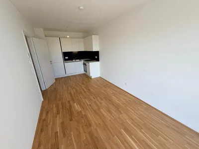 Wohnung zur Miete in 8055 Graz