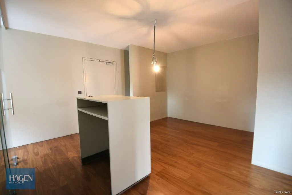 Moderne Büro- oder Praxisräumlichkeit in der Fußgängerzone in Bregenz zu vermieten! - Ansicht 2