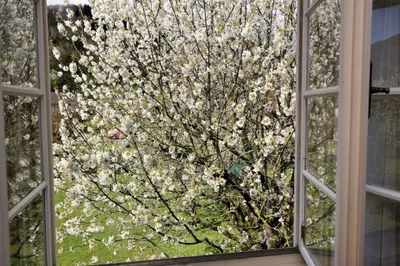 6-Zimmer-Haus kaufen in Scheibbs – 232,82 m², € 660.000 – Bild 19 von 22