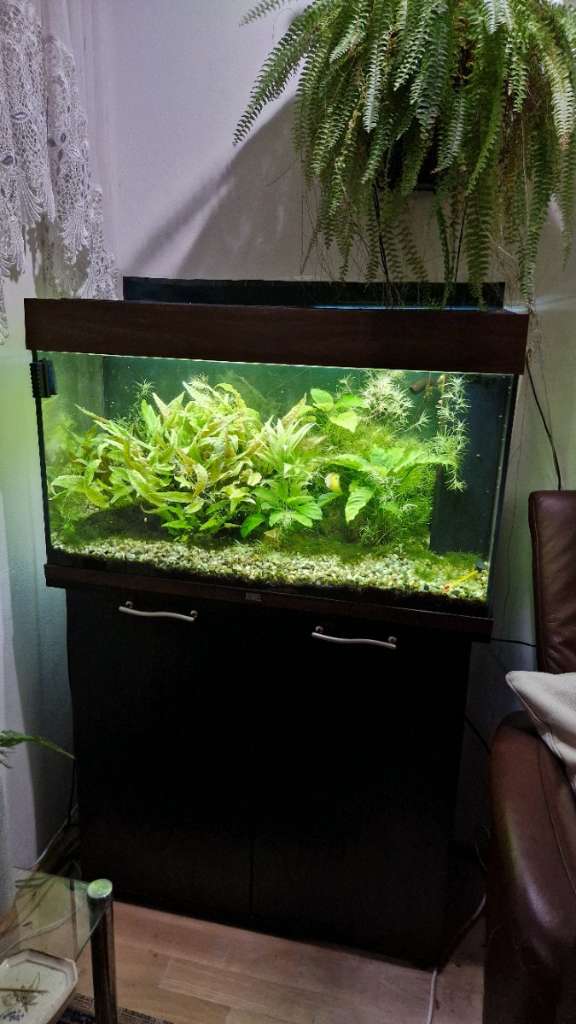 Outlet Juwel Aquarium Komplett 120L