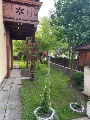 7-Zimmer-Gewerbeimmobilie kaufen in Wiener Neustadt Land – 260 m², € 400.000 – Bild 4 von 34
