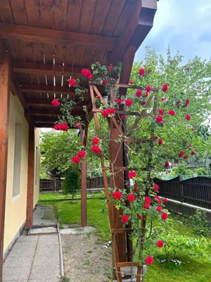 7-Zimmer-Gewerbeimmobilie kaufen in Wiener Neustadt Land – 260 m², € 400.000 – Bild 3 von 34