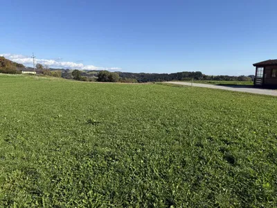 Grundstück kaufen in Perg – 1 051 m², € 233.000 – Bild 3 von 4