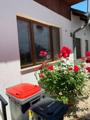 Immobilie mieten in Neusiedl am See – 53 m², € 500 – Bild 10 von 12