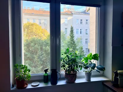 2-Zimmer-Wohnung mieten in Wien – 64 m², € 1.070 – Bild 4 von 4