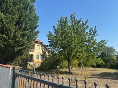 Haus kaufen in Neusiedl am See – 140 m², € 470.000 – Bild 5 von 16