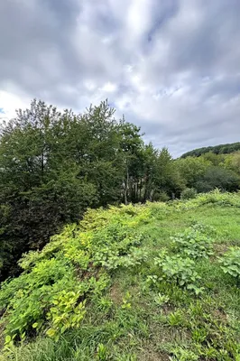 Grundstück kaufen in Sankt Pölten Land – 630 m², € 210.000 – Bild 6 von 13