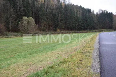 Immobilie kaufen in Urfahr-Umgebung – 3 372 m², € 140.000
