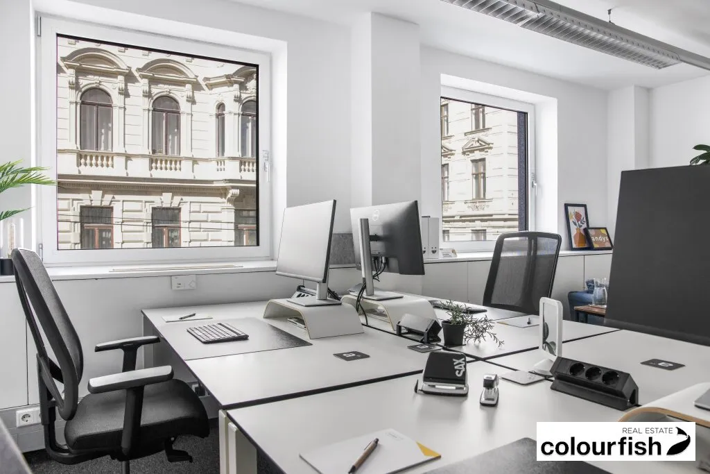 Private-Office und Co-Working im 6.Bezirk - Ansicht 3