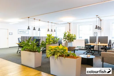 Gewerbeimmobilie mieten in Wien – 15 m², € 389