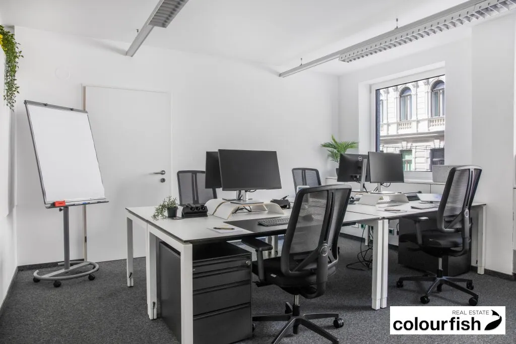 Private-Office und Co-Working im 6.Bezirk - Ansicht 2