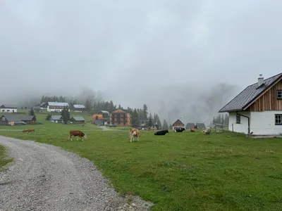 Immobilie kaufen in Bruck-Mürzzuschlag – € 290.000 – Bild 35 von 46