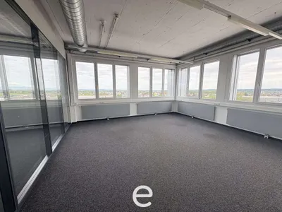 Gewerbeimmobilie mieten in Wels-Land – 358 m², € 3.760 – Bild 3 von 10