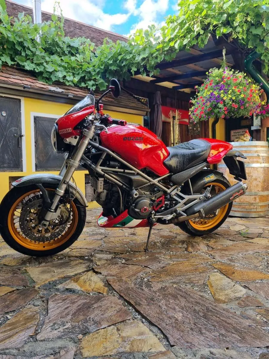 Ducati Monster