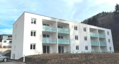 Wohnung zur Miete in 4460 Steyr-Land