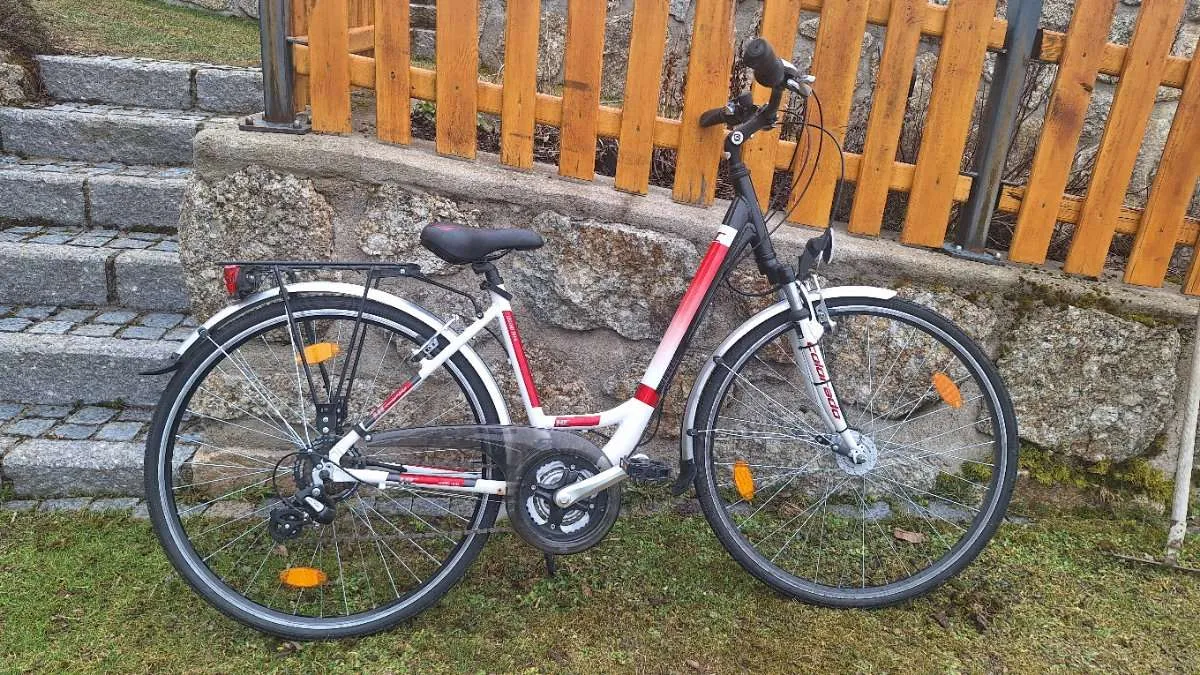 clug fahrrad wandhalterung PRO MTB (44–57 mm / 1,75–2,25 Zoll) – grau/schwarz Baumarkt Ekoï Racing Magnetic Limited 潜力新品 Varianten:EB1S Schwarz*2