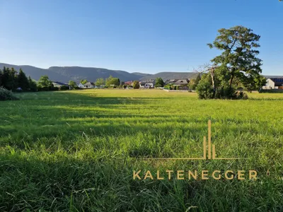 Grundstück kaufen in Wiener Neustadt Land – 5 750 m², € 519.000 – Bild 6 von 10